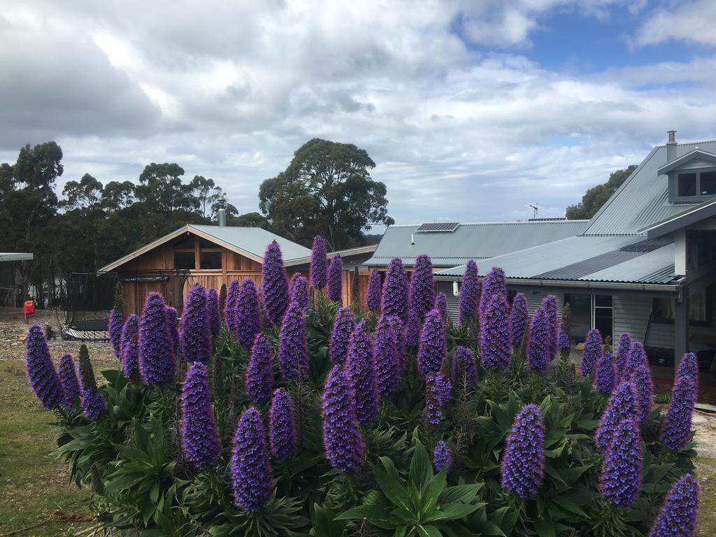 Bruny Island Lodge South Bruny Exteriör bild
